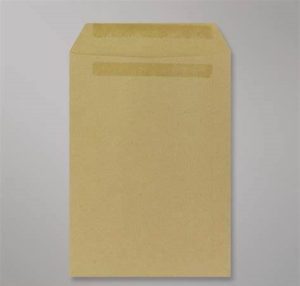 ENV C5-P 229x162 BROWN KWIKSEAL 500 MERPAK 5110