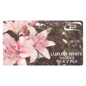 TISSUE FACIAL 2 PLY 90PK PILLOWY SOFT