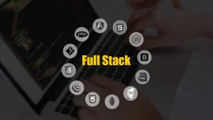 Full-Stack Developer