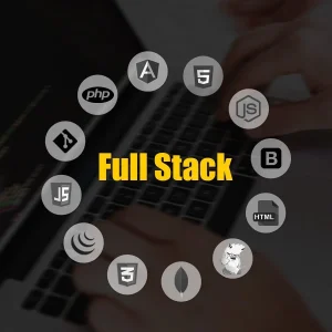 Full-Stack Developer
