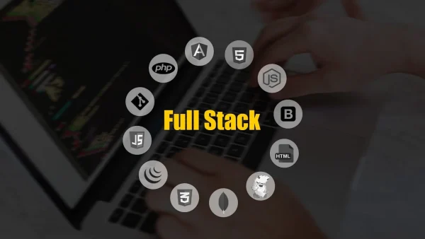 Full-Stack Developer