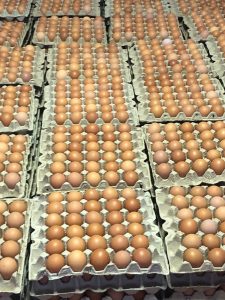 30 Eggs