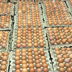30 Eggs